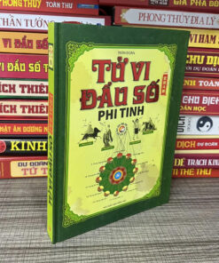 Tử Vi Đẩu Số Phi Tinh - Trần Đoàn