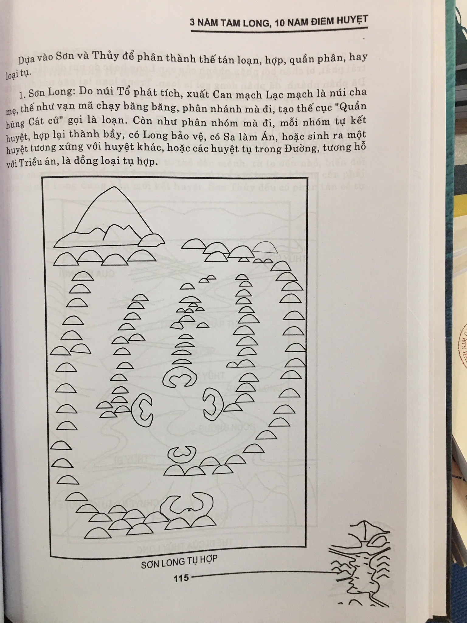 281567808-3175833559342360-6617217942665446150-n.jpg