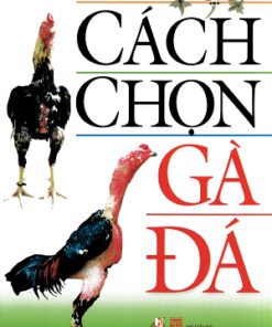 Cách Chọn Gà Đá – Vũ Hồng Anh