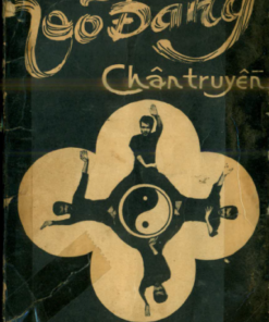 Võ Đang Chân Truyền - Nam Anh