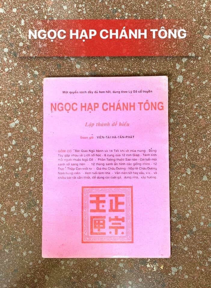ngoc-hap-chanh-tong-6.jpg