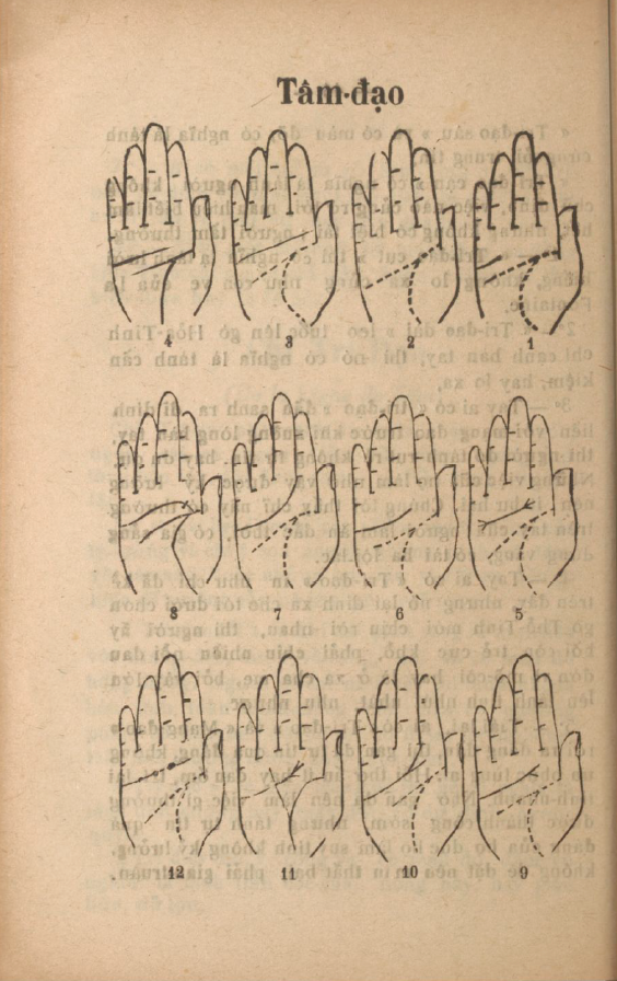 nhungcaimaunhiemcuabantay-3.png