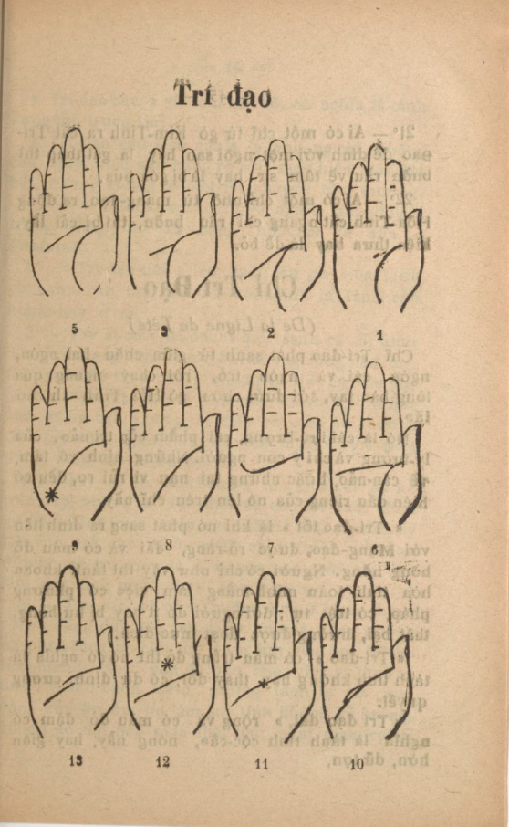nhungcaimaunhiemcuabantay-4.png
