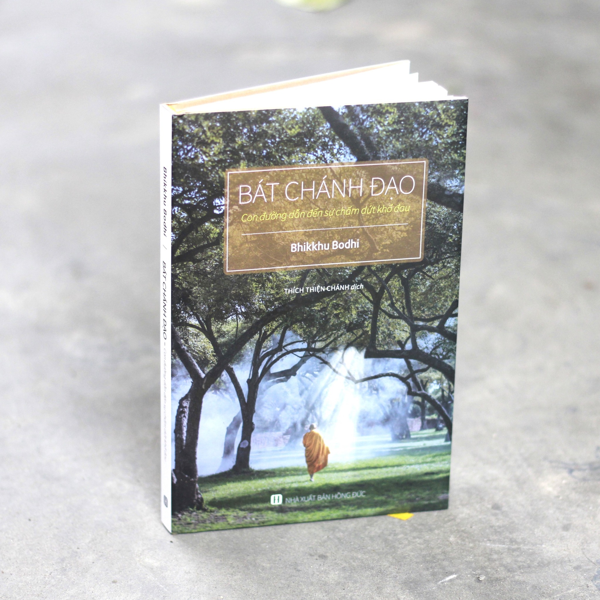 sach-bat-chanh-dao-con-duong-dan-den-su-cham-dut-kho-dau.jpg