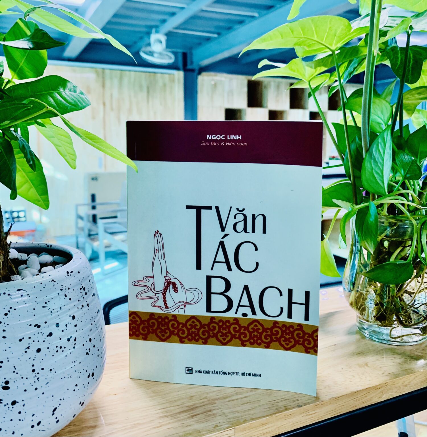 van-tac-bach-ngoc-linh.jpg