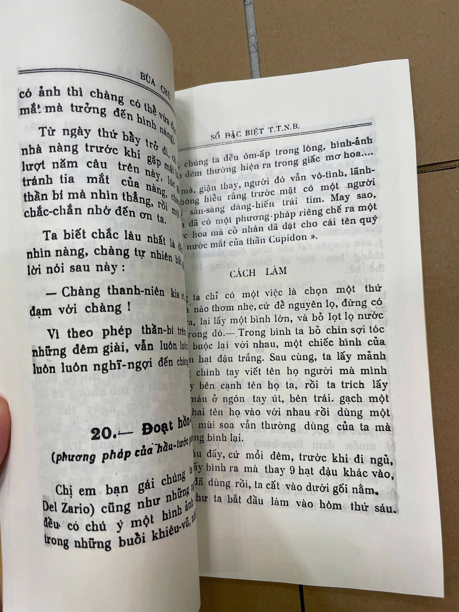 z6426003679310-402b9e6fb4b2477aac6785b459afaa2a.jpg