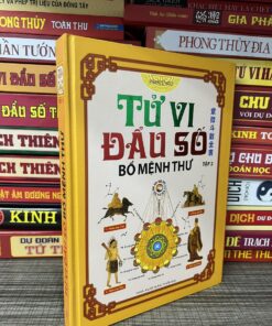 Tử Vi Đẩu Số Bổ Mệnh Thư – Phan Tử Ngư (tập 2)