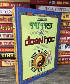 Tứ Trụ Dự Đoán Học - Thiệu Vĩ Hoa